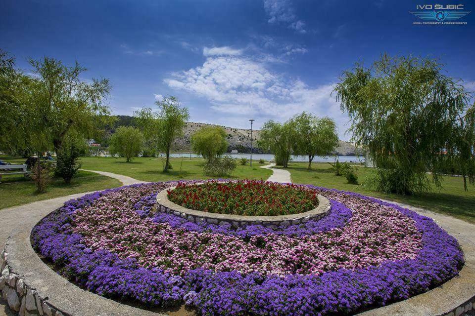 Apartments Boric Lopar Εξωτερικό φωτογραφία