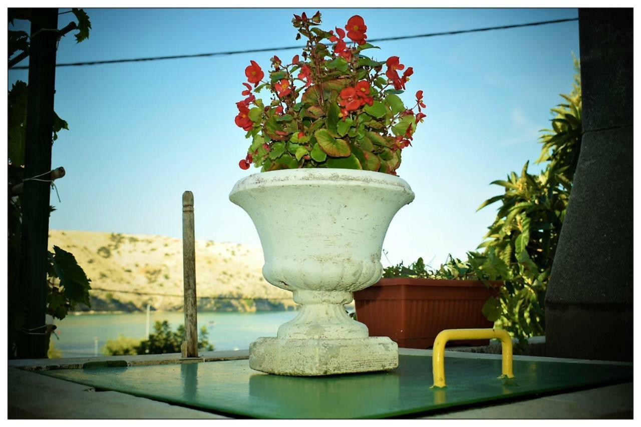 Apartments Boric Lopar Εξωτερικό φωτογραφία