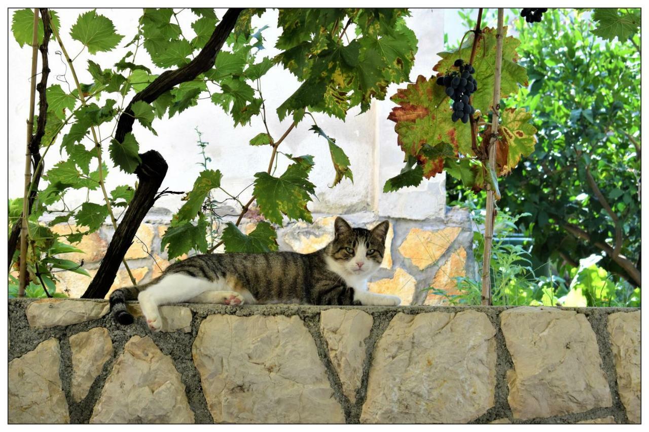Apartments Boric Lopar Εξωτερικό φωτογραφία